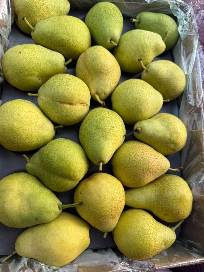 Image de Poires