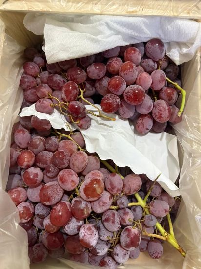 Image de Raisins